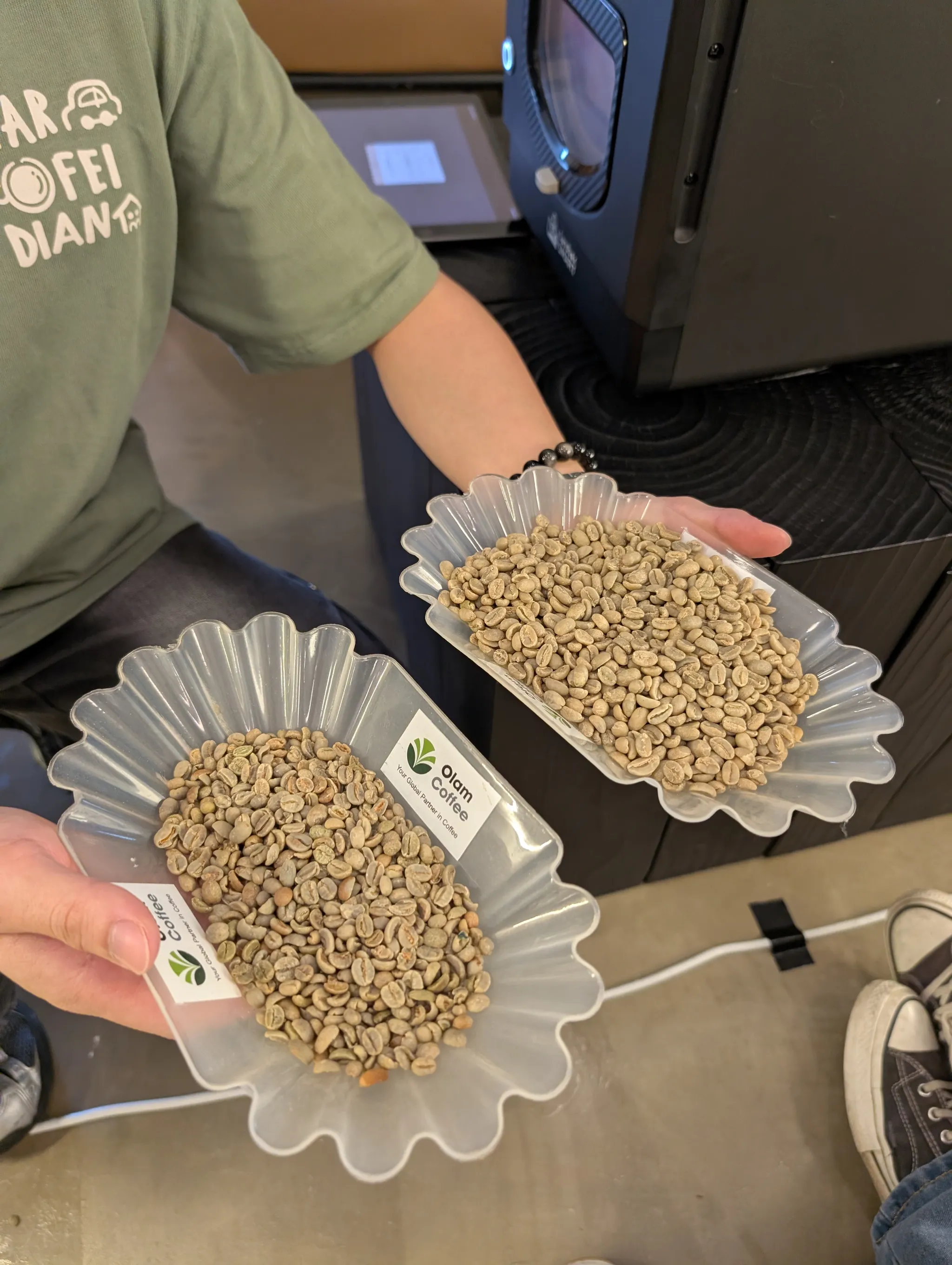 Pre-roasted green coffee beans