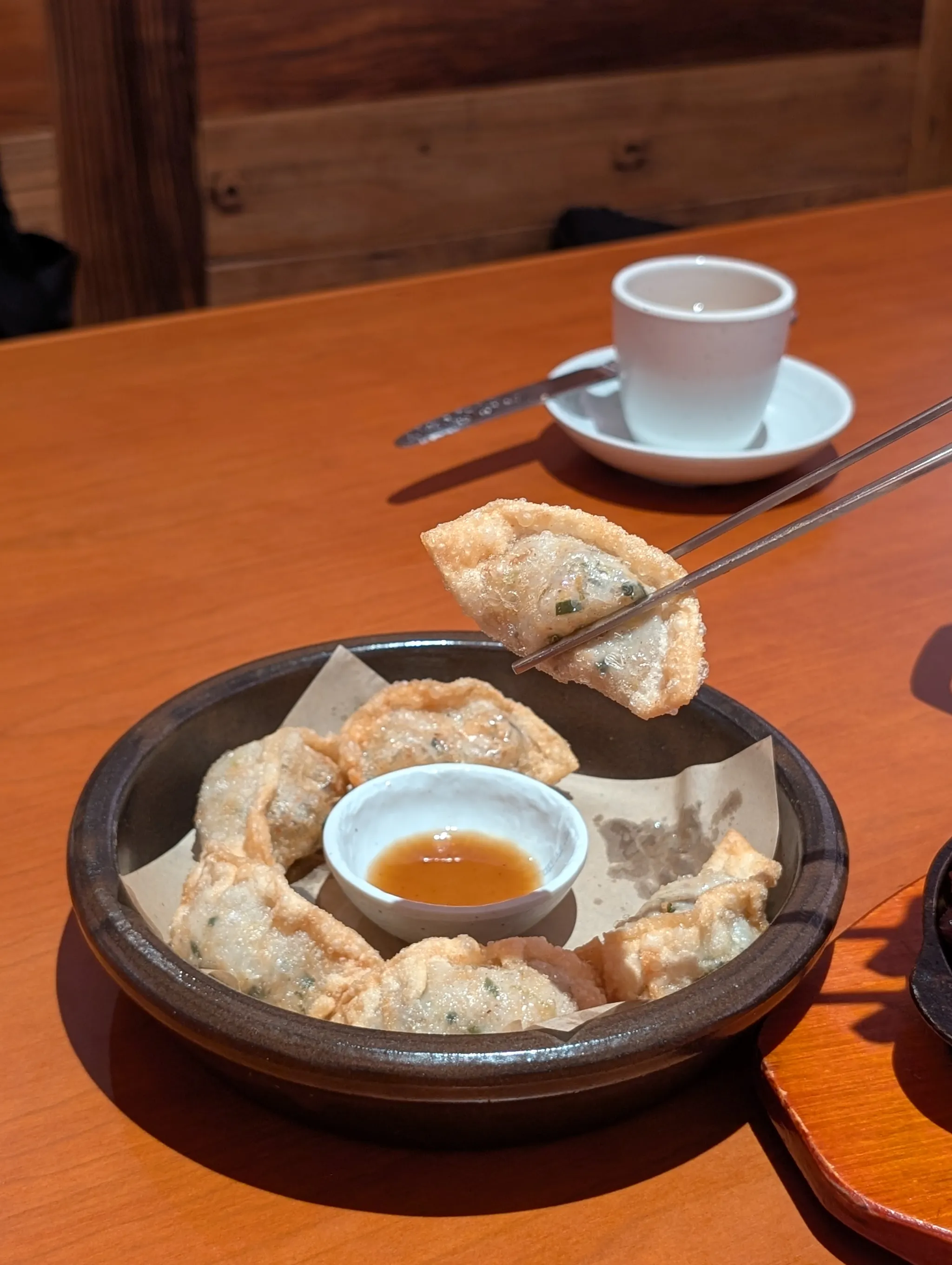 Close-up shot of Fried Handmade Dumpling from Kong Madam, Guoco Midtown II, Singapore