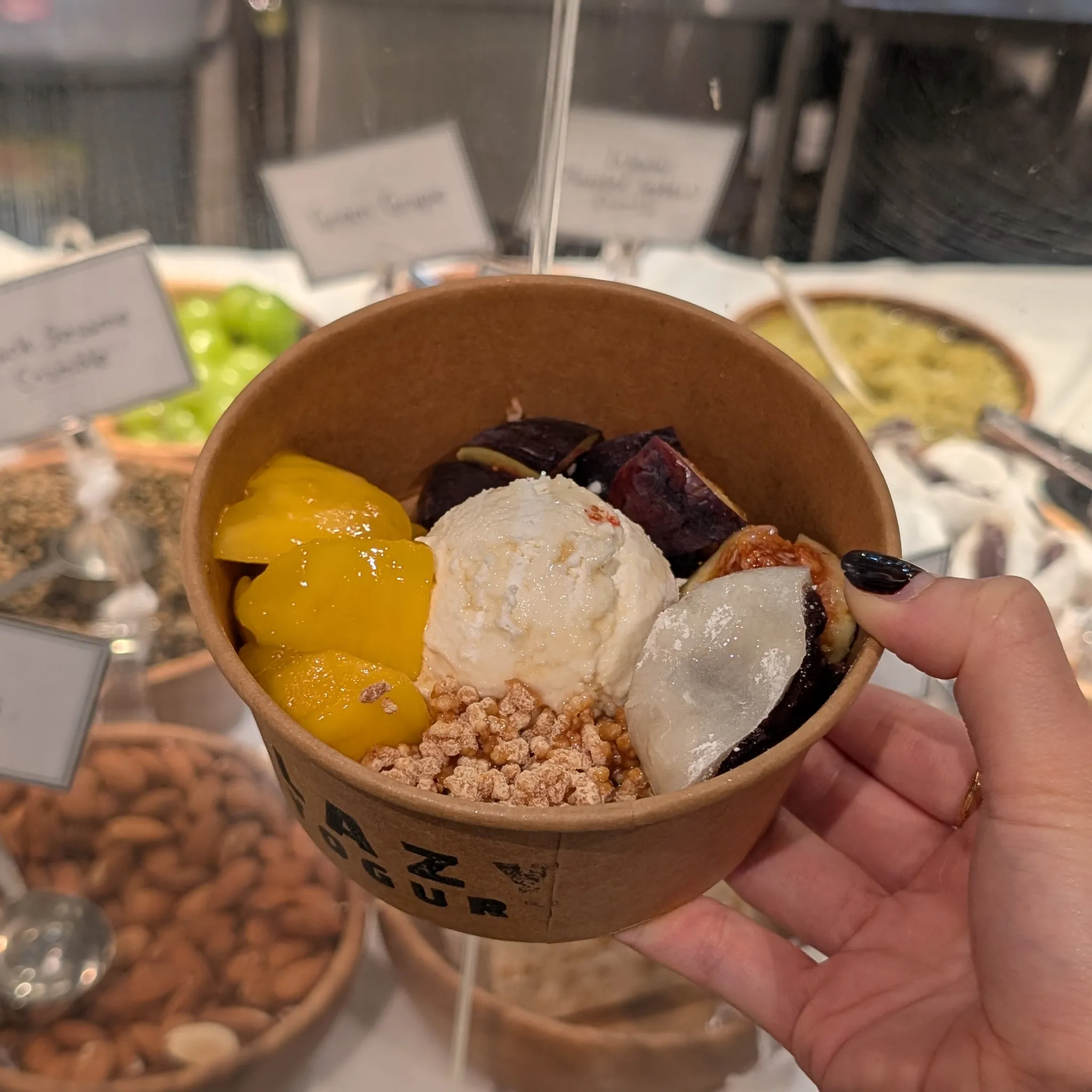 Plain Yogurt Bowl