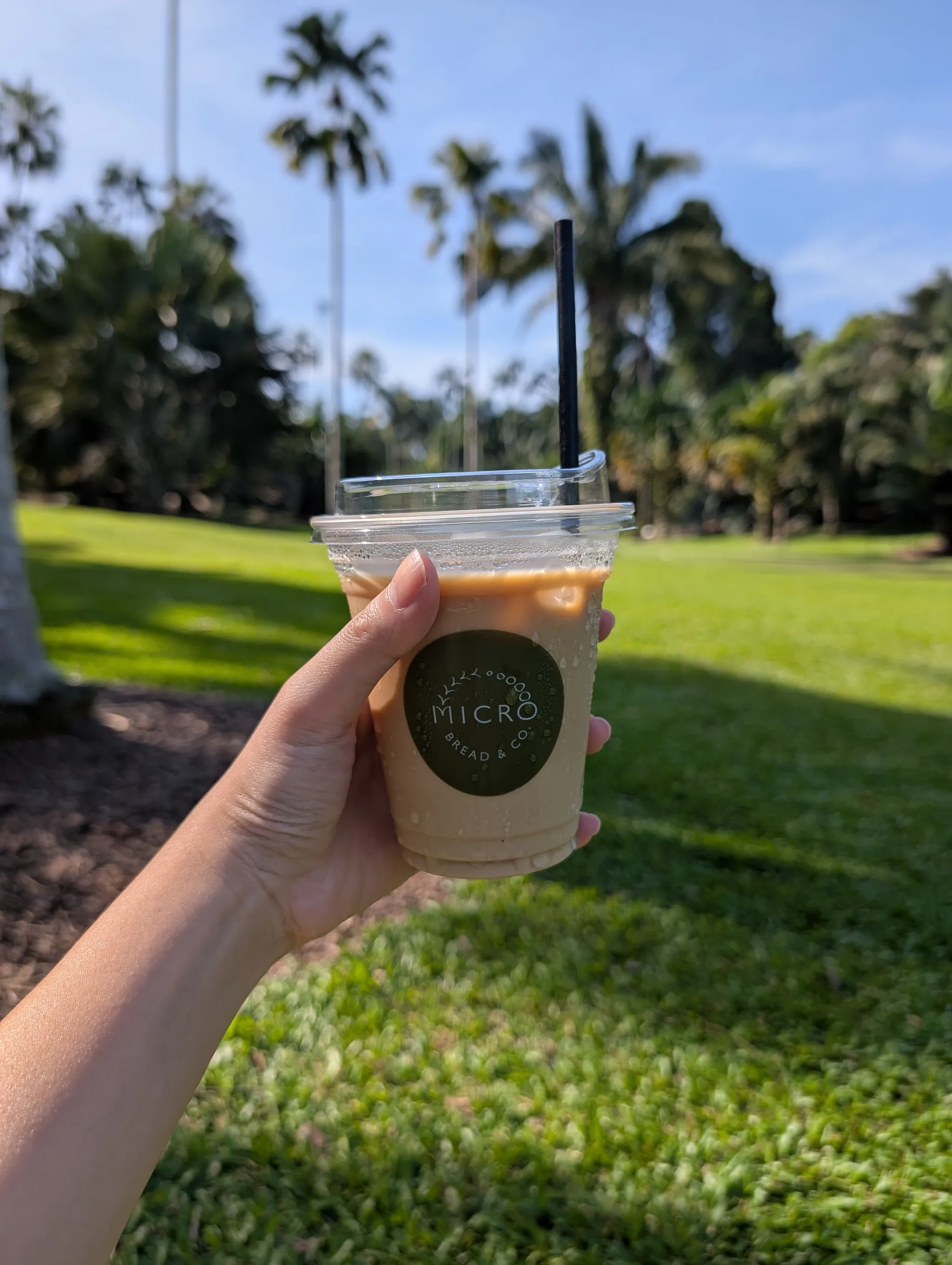 Iced latte from Micro Bakery, Jalan Serene, Singapore